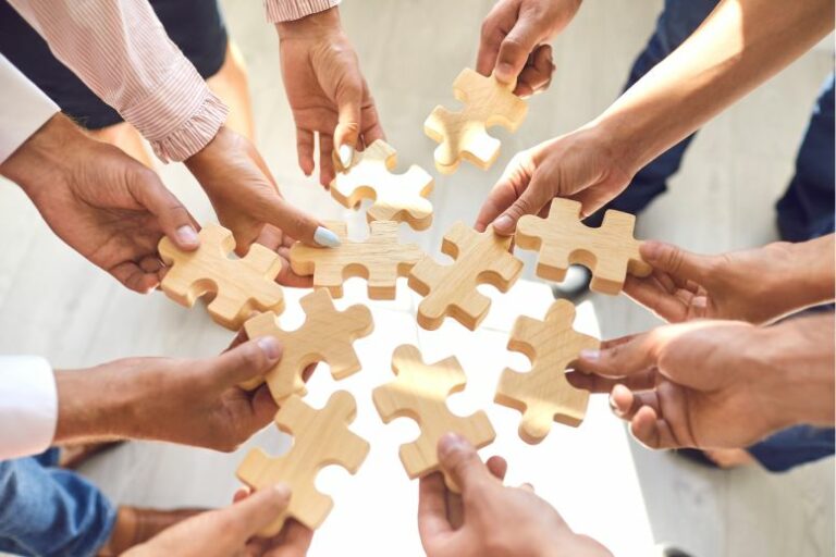 ORGANISATIONS-ENTWICKLUNG